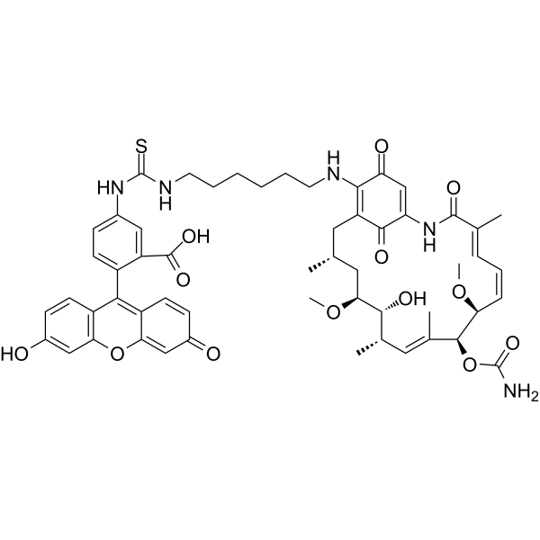 Geldanamycin-FITC 2969156-01-0